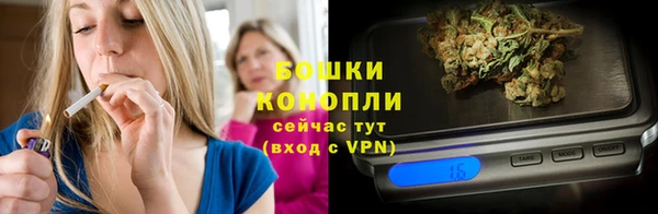 spice Верея