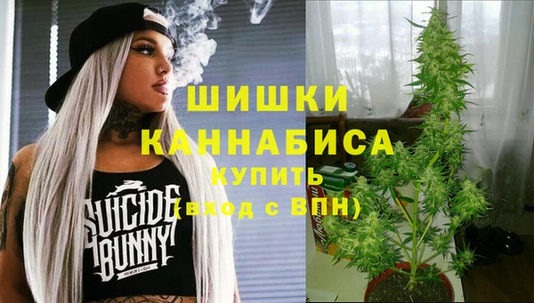 спиды Михайловка