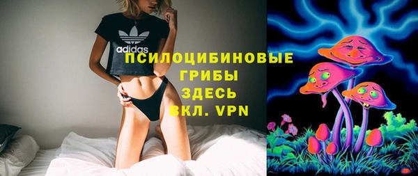 spice Верея