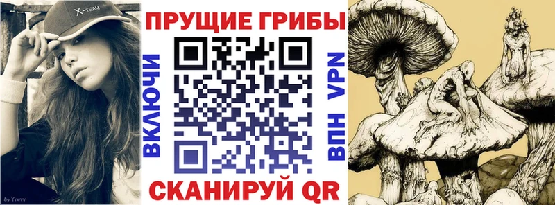 Галлюциногенные грибы MAGIC MUSHROOMS  наркота  Весьегонск 